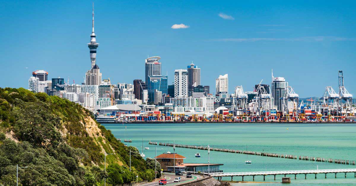 Auckland City View